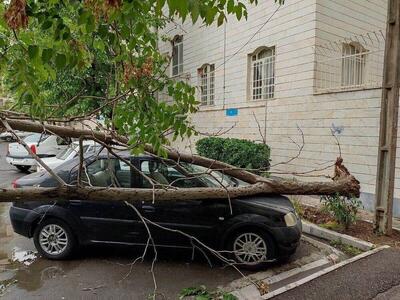 هشدار؛ وزش باد شدید در تهران از فردا