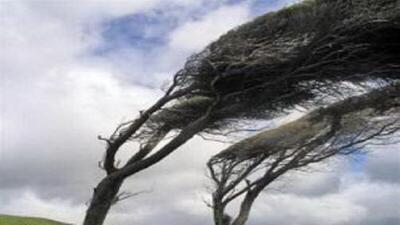 سرعت تندباد در جنوب آذربایجان غربی به ۹۰ کیلومتر بر ساعت رسید