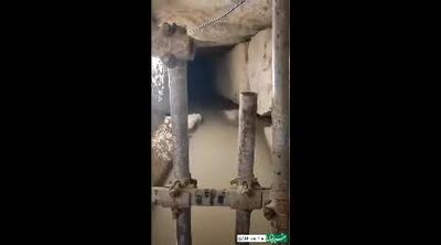 ویدئویی جالب از زیر تخت جمشید