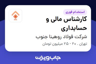 استخدام کارشناس مالی و حسابداری - آقا در شرکت فولاد روهینا جنوب