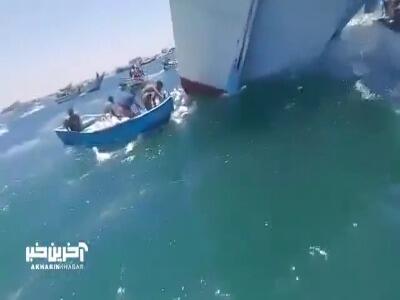 دریای سرخ میزبان هزاران گوسفند شناور!