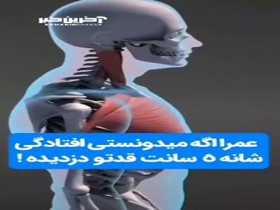 حرکاتی برای رفع افتادگی شانه که به افزایش قدتان کمک می‌کند