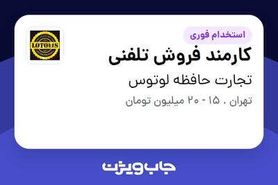 استخدام کارمند فروش تلفنی - خانم در تجارت حافظه لوتوس