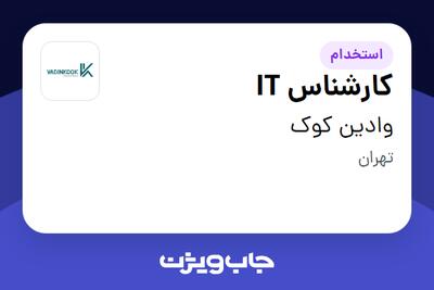 استخدام کارشناس IT در وادین کوک