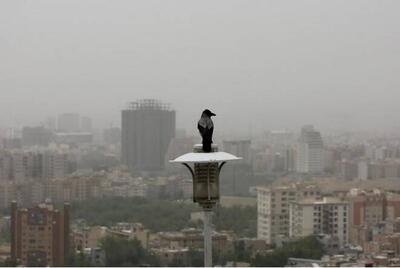 هوای تهران در مرز آلودگی