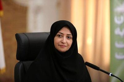 شینا انصاری: موضوع ریزگردها در صدر اولویت‌های ما قرار دارد
