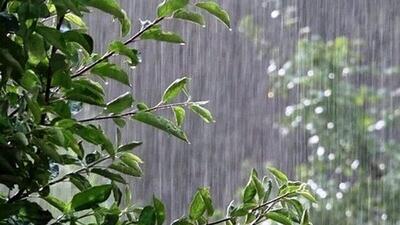 بارش باران استان زنجان را فرا می گیرد