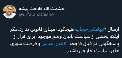 فلاحت‌پیشه: ارسال پیامک حجاب هیچگونه مبنای قانونی ندارد | اقتصاد24