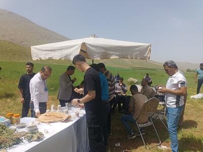 برگزاری تور گردشگری خوراک برای دانشجویان خارجی دانشگاه‌های کرمانشاه