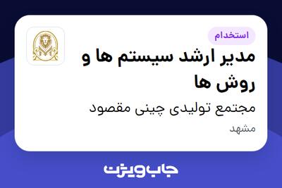 استخدام مدیر ارشد سیستم ها و روش ها در مجتمع تولیدی چینی مقصود