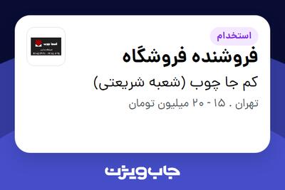 استخدام فروشنده فروشگاه در کم جا چوب (شعبه شریعتی)