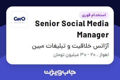 استخدام Senior Social Media Manager در آژانس خلاقیت‌ و تبلیغات مبین