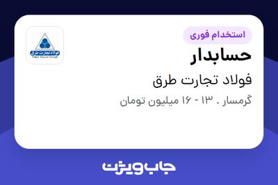 استخدام حسابدار در فولاد تجارت طرق