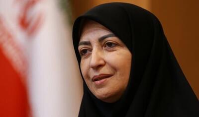رئیس سازمان محیط‌زیست: با پدیده تغییر اقلیم در کشور مواجه هستیم