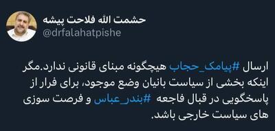  فلاحت‌پیشه: ارسال پیامک حجاب هیچگونه مبنای قانونی ندارد | رویداد24