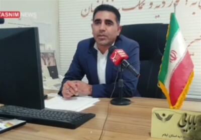 آزادی 12 زندانی جرائم غیرعمد در ایلام - تسنیم
