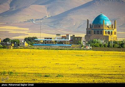 چمن سلطانیه جان گرفت - تسنیم