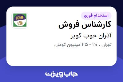 استخدام کارشناس فروش - خانم در آذران چوب کویر