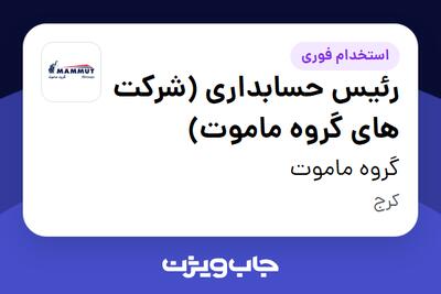 استخدام رئیس حسابداری (شرکت های گروه ماموت) در گروه ماموت