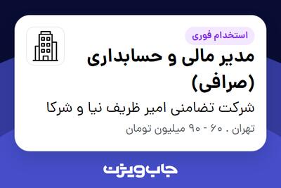 استخدام مدیر مالی و حسابداری (صرافی) در شرکت تضامنی امیر ظریف نیا و شرکا
