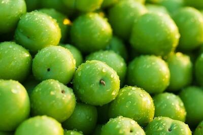 طرز تهیه ترشی آلوچه با مغز گردو | این ترکیب از زیتون پرورده خوشمزه تره+ ویدئو