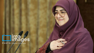 مهاجرانی: پایین بودن درآمدها دولت را مجبور به مداخله در اقتصاد می‌کند