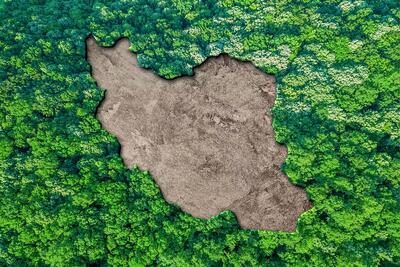عاملان شهادت محیط‌بان گلستانی دستگیر شدند