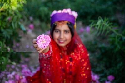 تصاویر؛ گل و گلاب میمند