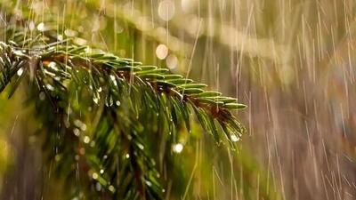 هشدار هواشناسی به استان کشور