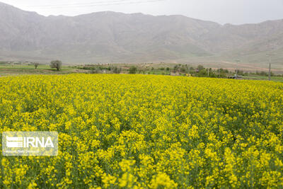 این داده‌ها چگونه به مزرعه می‌روند