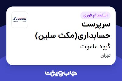 استخدام سرپرست حسابداری(مکث سلین) در گروه ماموت