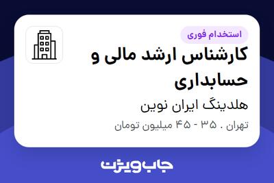 استخدام کارشناس ارشد مالی و حسابداری در هلدینگ ایران نوین