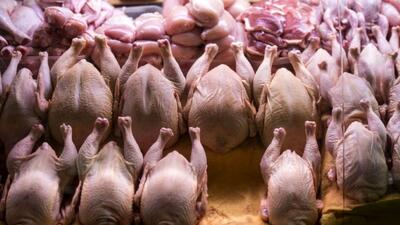 قیمت مرغ، امروز دوشنبه ۱۵ اردیبهشت ۱۴۰۴