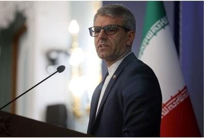 بقایی: برخی مواضع فرانسه به هیچ عنوان مبنای حقوقی ندارد
