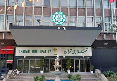جزئیات جشن امام رضایی‌ها در تهران از هفت‌تیر تا میدان ولیعصر + ویدیو