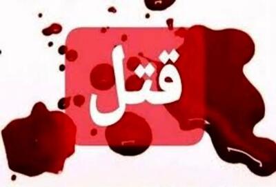 جوان ۲۱ ساله پارس ابادی در نزاع به قتل رسید