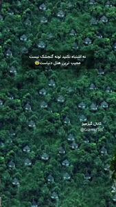 مرموز ترین هتل دنیا که برای رزرو ۶ ماه باید صبر کرد + فیلم