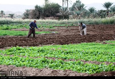 پیش‌بینی ۱۰ هزار میلیارد تومان اعتبار برای توسعه کشاورزی کرمانشاه در سفر رییس‌جمهور