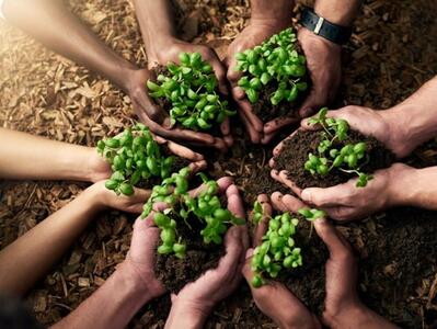 امنیت غذایی یکی از مولفه‌های توسعه کشور است