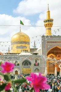 کل وجودمان برایتان تنگ شده است
