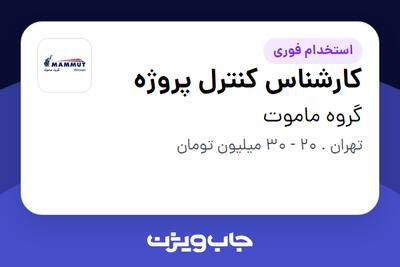 استخدام کارشناس کنترل پروژه - آقا در گروه ماموت