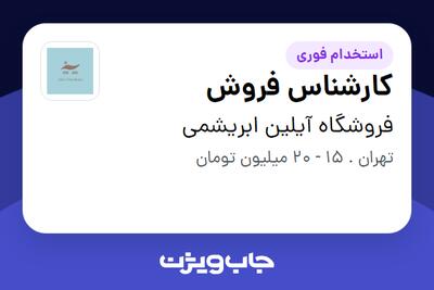 استخدام کارشناس فروش - خانم در فروشگاه آیلین ابریشمی