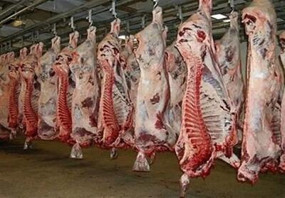 گوشت‌های آلوده در حاشیه شهر؛ زنگ خطر سلامت در کرمانشاه! - تسنیم