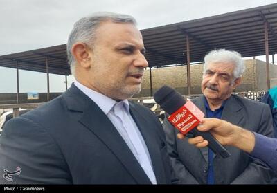 کمبود نهاده‌های دامی مانع بزرگ تولید در دامداری در بهارستان - تسنیم