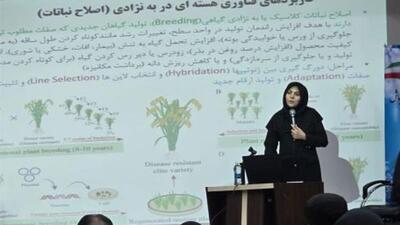 همایش علمی علوم و فنون هسته‌ای در بوشهر برگزار شد