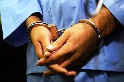 بوشهر/ دستگیری عامل آتش‌سوزی خودروهای شخصی