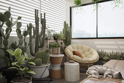 ۶ کاکتوس زیبا برای یک دکوراسیون شیک (+عکس)