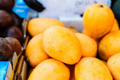 در مورد انبه و کاهش وزن بیشتر بدانید