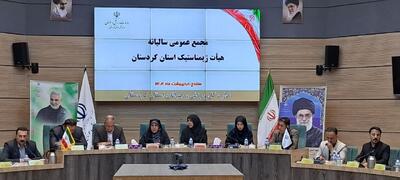 رئیس فدراسیون: کردستان ظرفیت بالایی در ورزش ژیمناستیک دارد