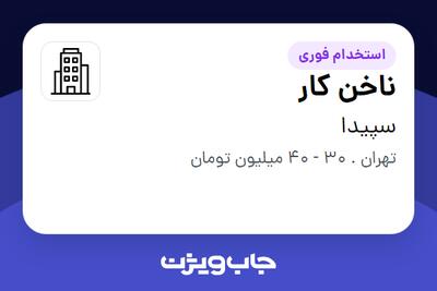 استخدام ناخن کار - خانم در سپیدا